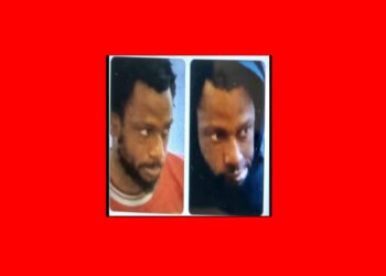 Hampshire Police Seek Information on Shoplifting Suspect in Southampton