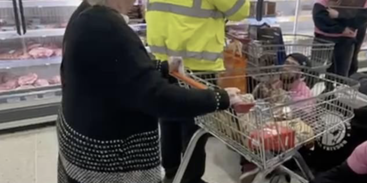 Moment furious shoppers barge Animal Rising activists with  trolleys as they stage sit-in protest in Sainsbury’s Portswood meat aisle