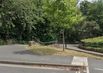 Southampton Police Appeal for Witnesses After 17 year old girl Sexually Assaulted by South Asian Man in Bitterne Underpass