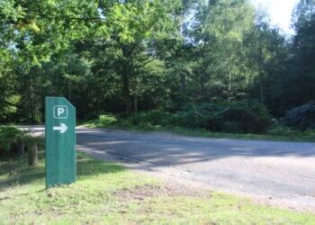 Free Parking in New Forest Set to End as Forestry England considers charges