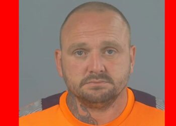 Southampton Man Jailed for Ten Years Over Sexual Assault of Young Child