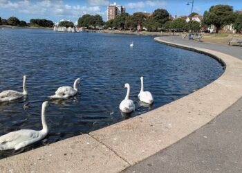 Police Appeal for Witnesses After Assault By Men Carrying Flags in Southsea