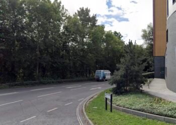 Police Appeal for Witnesses After Rented E-Scooter Collision on Thomas Lewis Way, Southampton